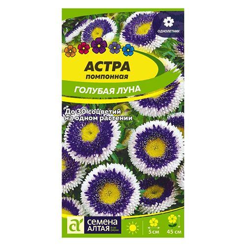 ����  ����� ��������� ������� ���� ������ �����, ������ �� 35 ���