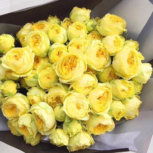 ����  ���� ����� ��������, ������ �� 423 ���