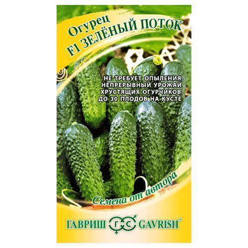 ����  ������ ������� ����� F1 ������, ������ �� 60 ���