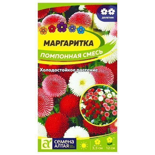 ����  ���������� ���������, ����� ������� ������ �����, ������ �� 49 ���