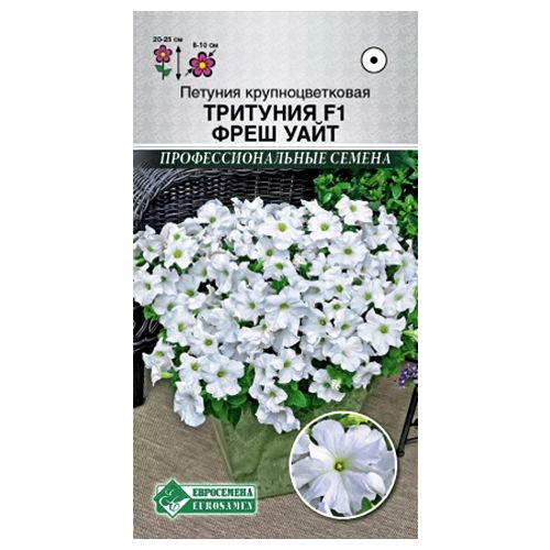 ����  ������� ��������������� �������� ���� ���� F1 ����������, ������ �� 49 ���