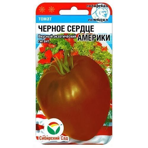 ����  ����� ������ ������ ������� ��������� ���, ������ �� 42 ���