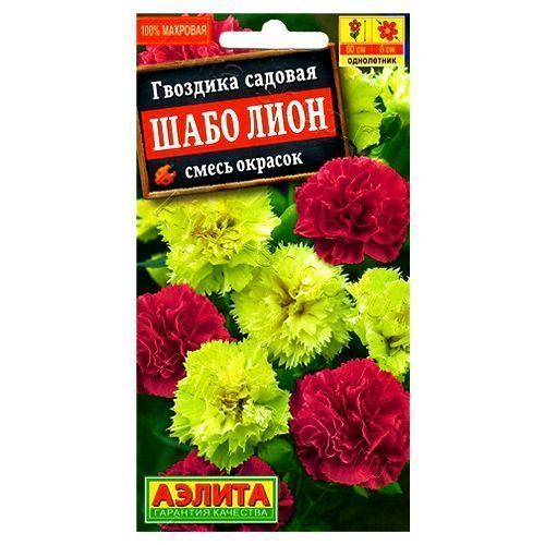 ����  �������� �������� ���� ����, ����� ������� ������, ������ �� 24 ���