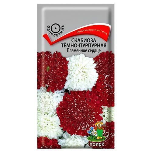 ����  �������� �����-��������� ��������� ������ �����, ������ �� 21 ���