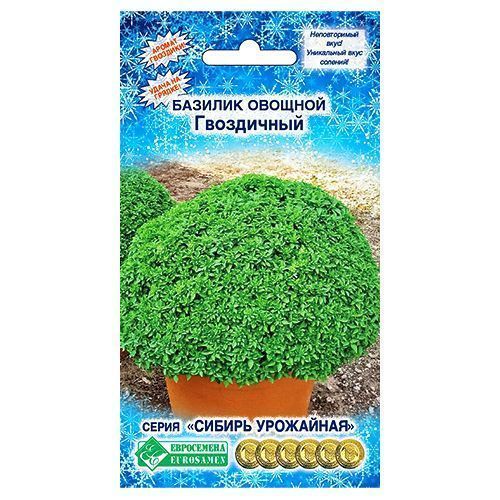 ����  ������� ������� ���������� ����������, ������ �� 35 ���