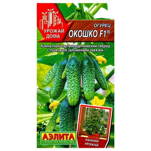 ����  ������ ������ F1 ������, ������ �� 42 ���