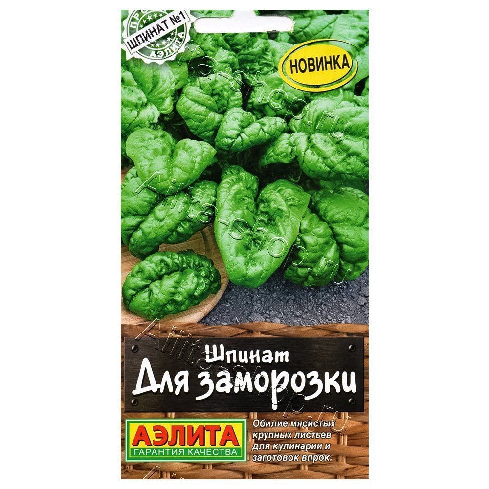 ����  ������ ��� ��������� ������, ������ �� 24 ���