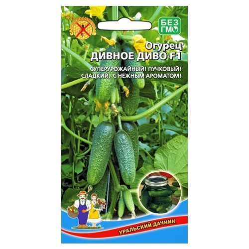 ����  ������ ������ ���� F1 ��������� ������, ������ �� 14 ���