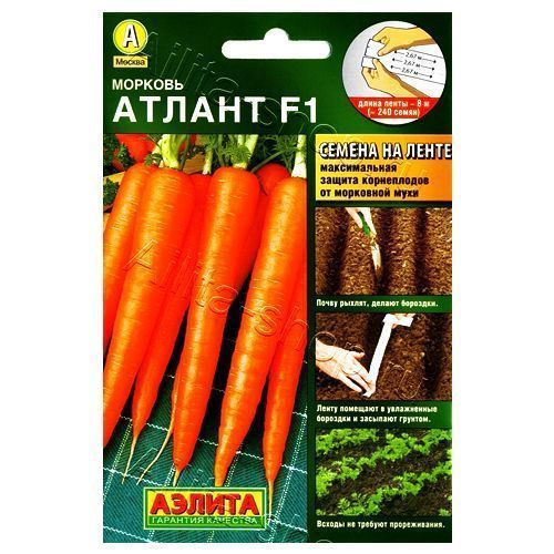 ����  ������� ������ F1, �� ����� ������, ������ �� 36 ���