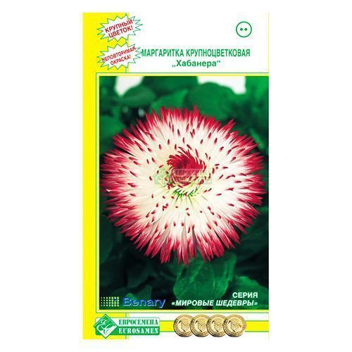 ����  ���������� �������� ����������, ������ �� 22 ���