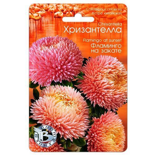 ����  ����� ��������� ����������� �������� �� ������ ����������, ������ �� 161 ���