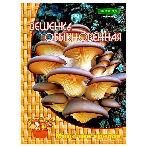 ����  ������� ������������ �����, ������ �� 175 ���