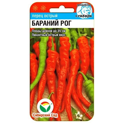 ����  ����� ������ ������� ��� ��������� ���, ������ �� 21 ���