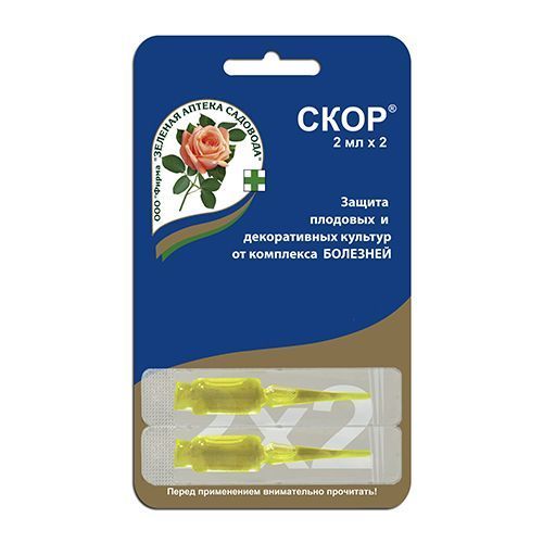 ����  ����, �� �������� �������� 2�2 ��, ������ �� 210 ���