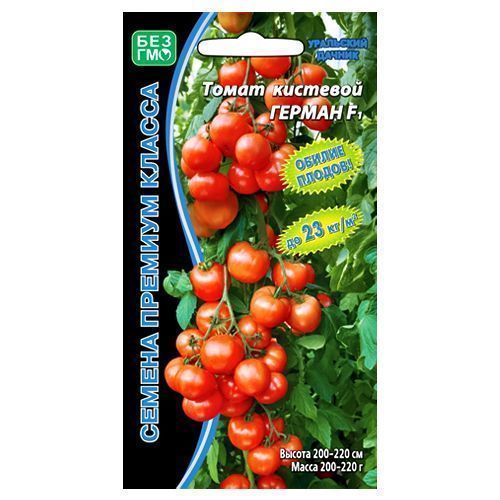 ����  ����� ������ F1 ��������� ������, ������ �� 49 ���