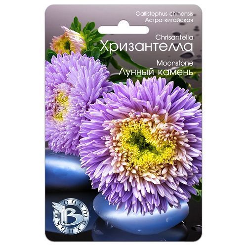 ����  ����� ��������� ����������� ������ ������ ����������, ������ �� 161 ���