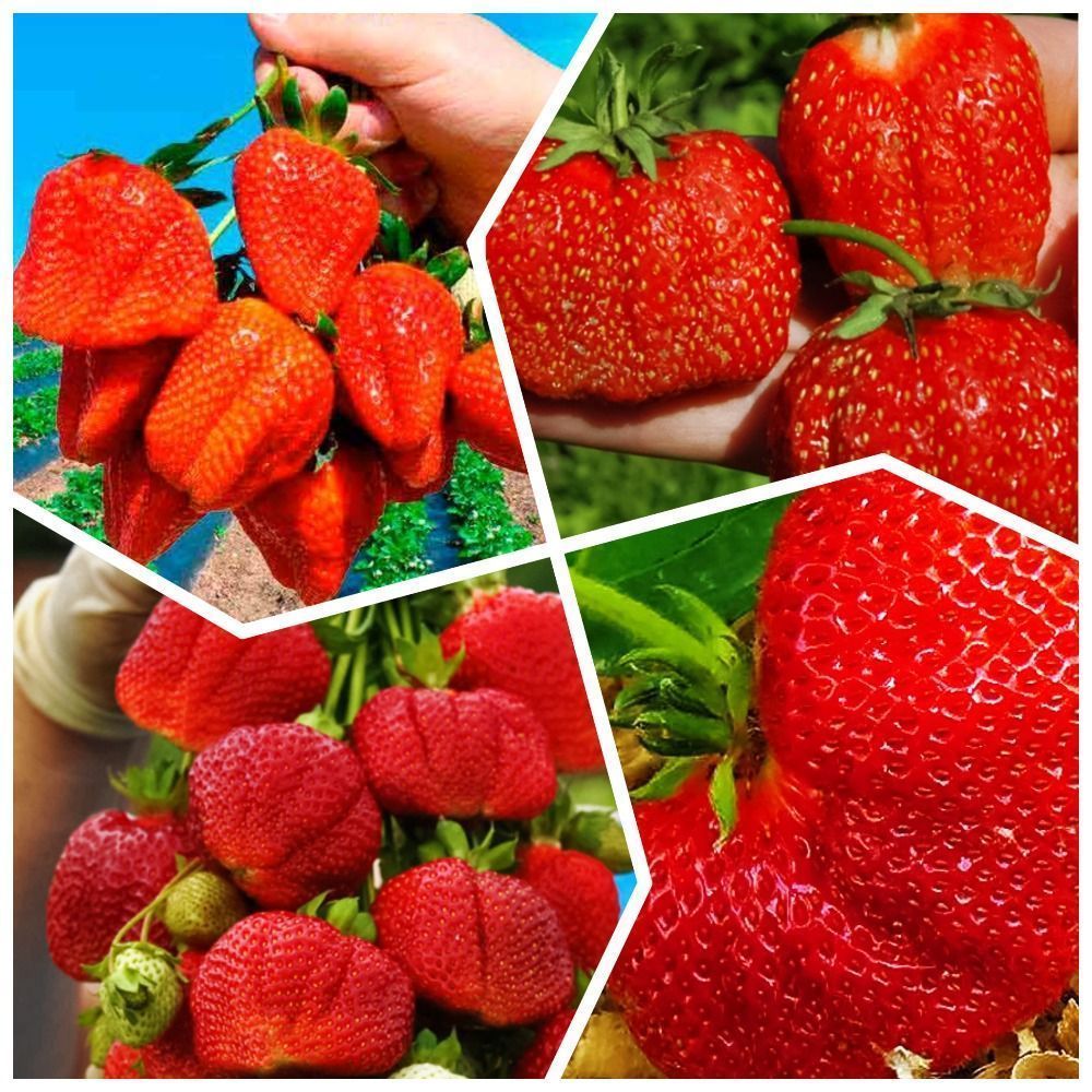 ����  �����������! �������� ��������� 