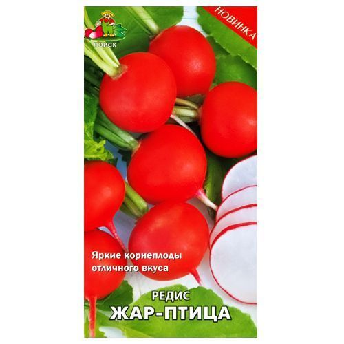 ����  ����� ���-����� �����, ������ �� 28 ���