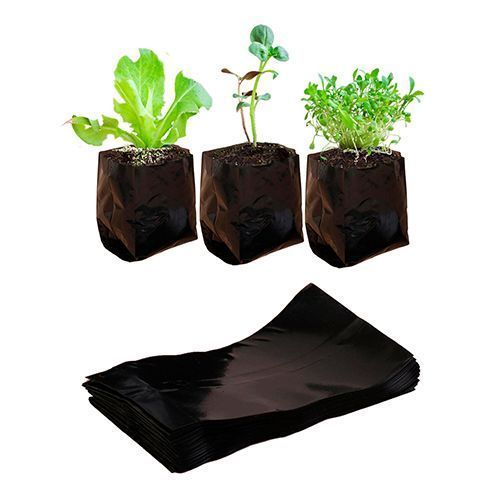 ����  ������ ��� ������� 1 �, ������ �� 12 ���