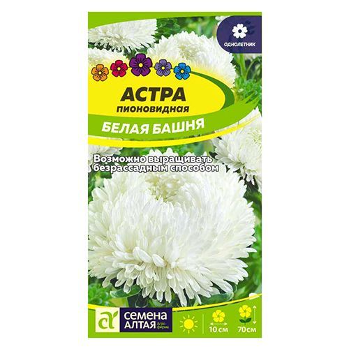 ����  ����� ����������� ����� ����� ������ �����, ������ �� 35 ���