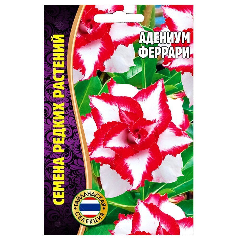 ����  ������� ������� ������ ������, ������ �� 273 ���