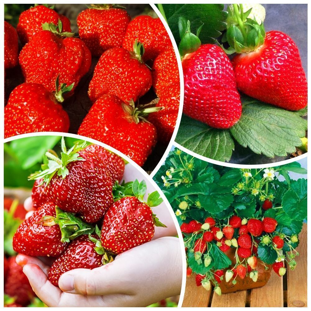 ����  �����������! �������� ��������� 