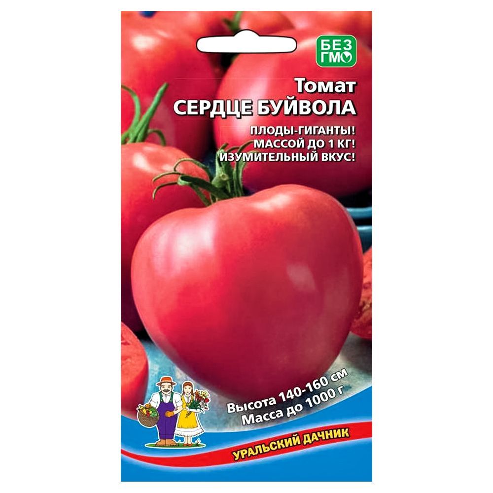 ����  ����� ������ ������� ��������� ������, ������ �� 40 ���