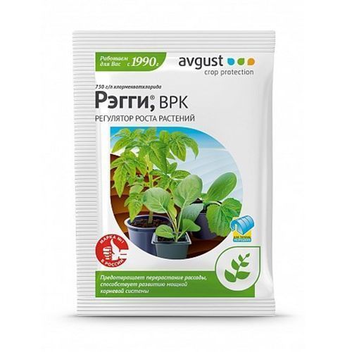 ����  �����, ��������� ����� � ������������ 1 ��, ������ �� 28 ���