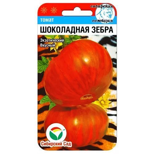 ����  ����� ���������� ����� ��������� ���, ������ �� 35 ���