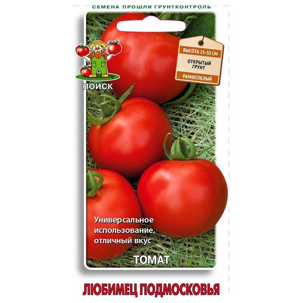 ����  ����� ������� ����������� �����, ������ �� 28 ���