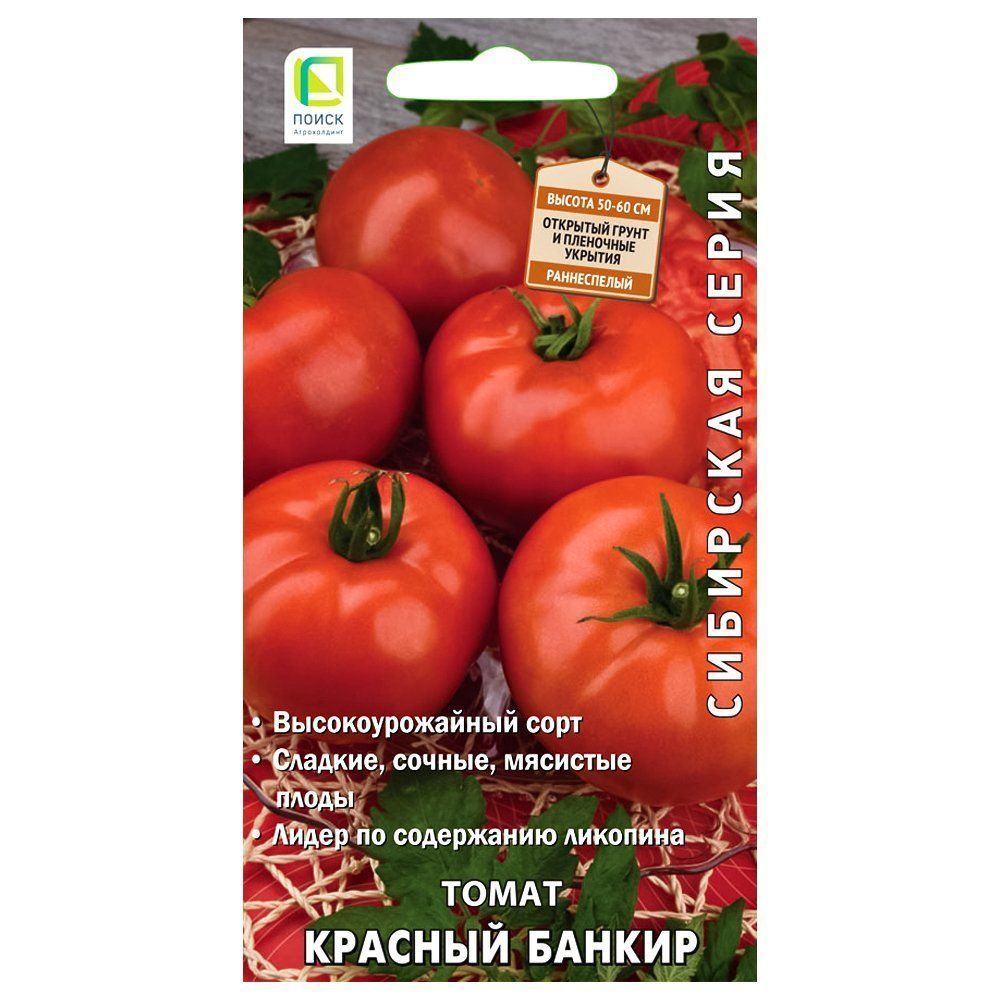 ����  ����� ������� ������ �����, ������ �� 8 ���