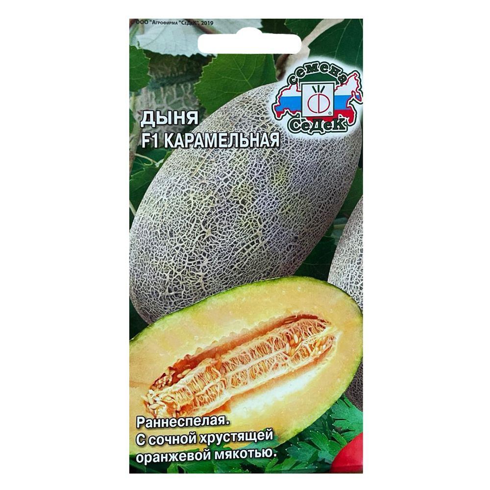 ����  ���� ����������� F1 �����, ������ �� 48 ���