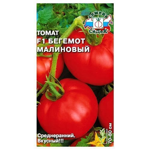 ����  ����� ������� ��������� F1 �����, ������ �� 54 ���