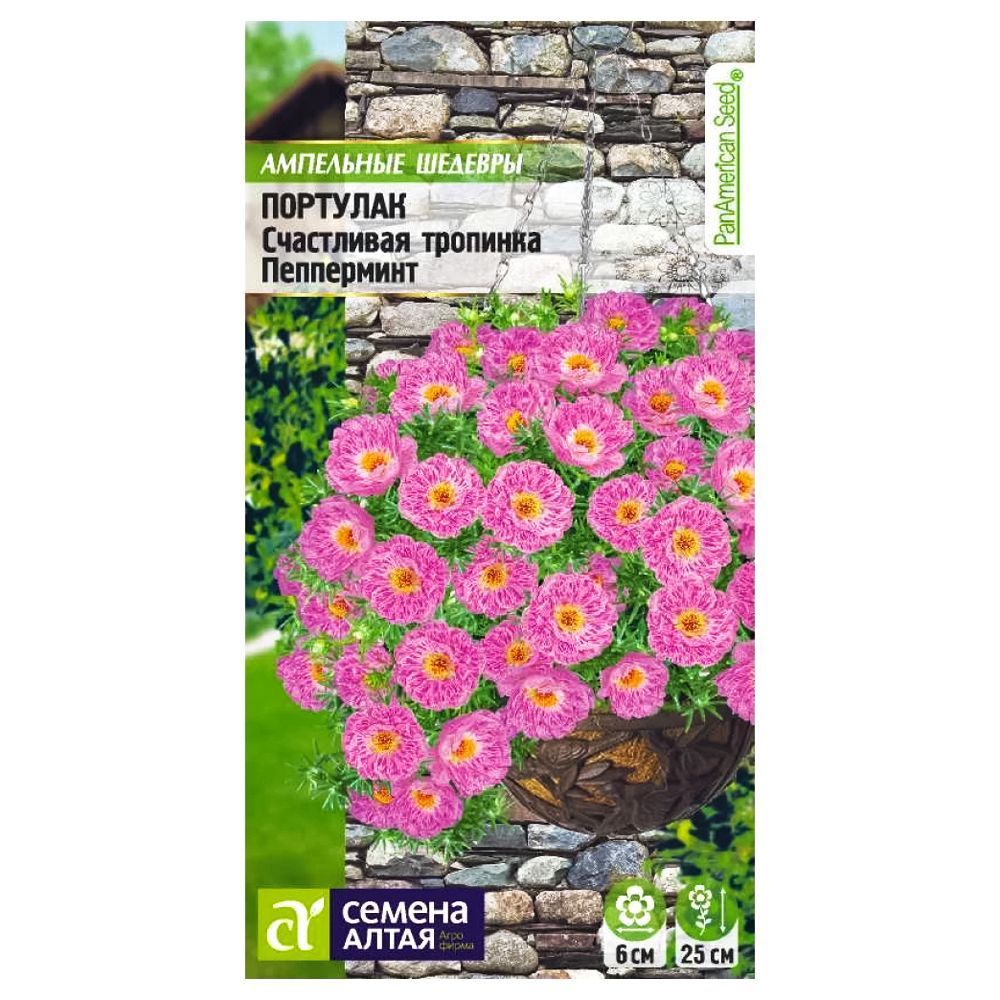 ����  �������� ���������� �������� ���������� ������ �����, ������ �� 77 ���