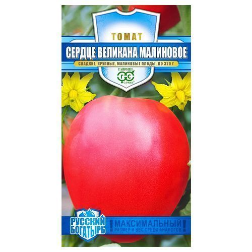 ����  ����� ������ �������� ��������� ������, ������ �� 14 ���