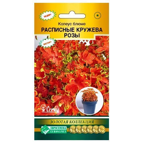 ����  ������ ����� ��������� ������� ���� ����������, ������ �� 56 ���