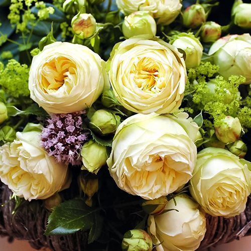 ����  ���� �����-��������� ���� �����, ������ �� 423 ���