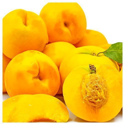 ����  �������� ��������, ������ �� 603 ���