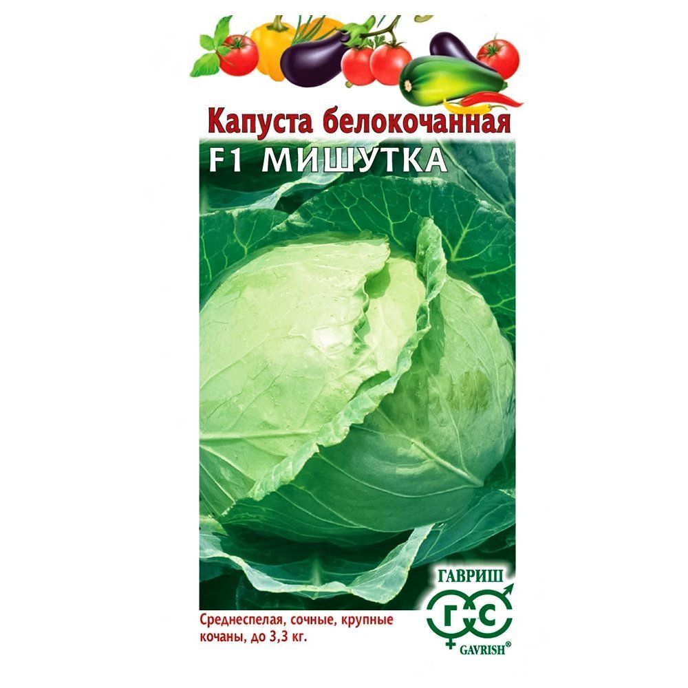 ����  ������� ������������ ������� F1 ������, ������ �� 24 ���