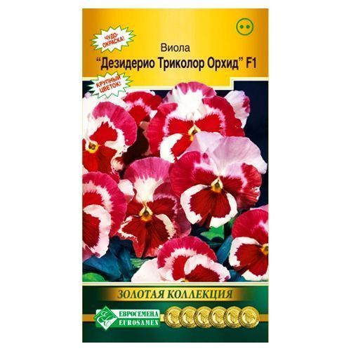 ����  ����� �������� ��������� �������� ����� F1 ����������, ������ �� 70 ���