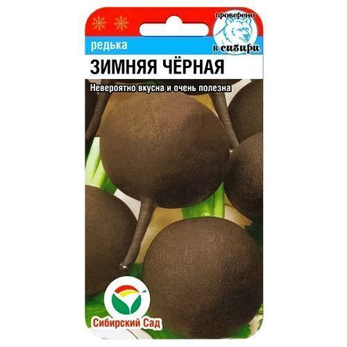 ����  ������ ������ ������ ��������� ���, ������ �� 21 ���