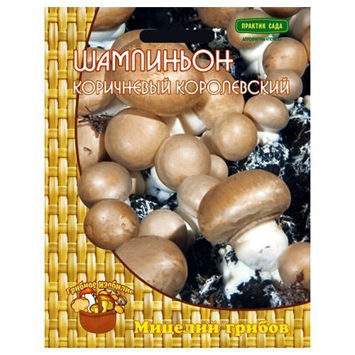 ����  ��������� ���������� ����������� �����, ������ �� 196 ���