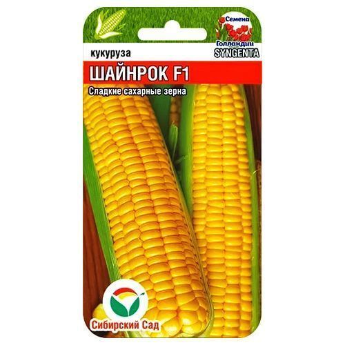 ����  �������� ������� F1 ��������� ���, ������ �� 28 ���