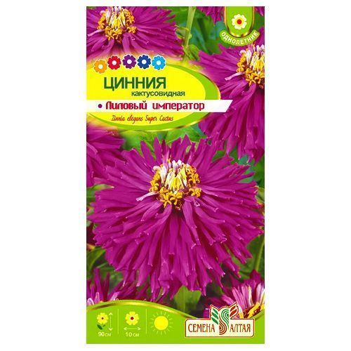 ����  ������ ������� ��������� ������ �����, ������ �� 35 ���