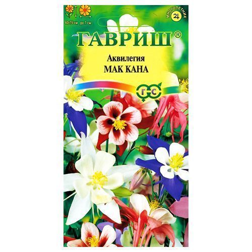 ����  ��������� ��� ����, ����� ������� ������, ������ �� 24 ���