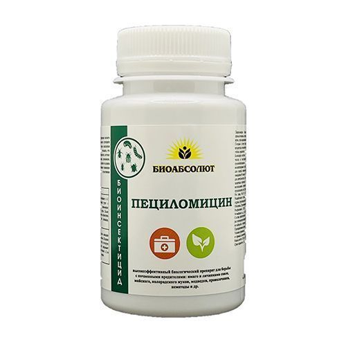 ����  �����������, ��������� ���������� �� ��������� ���������� 100 �, ������ �� 301 ���