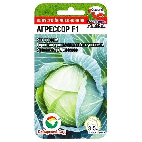 ����  ������� ������������ �������� F1 ��������� ���, ������ �� 70 ���