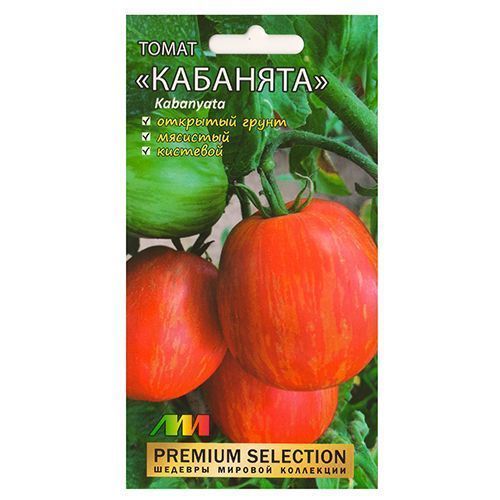 ����  ����� �������� ����������� ������ �.�., ������ �� 91 ���