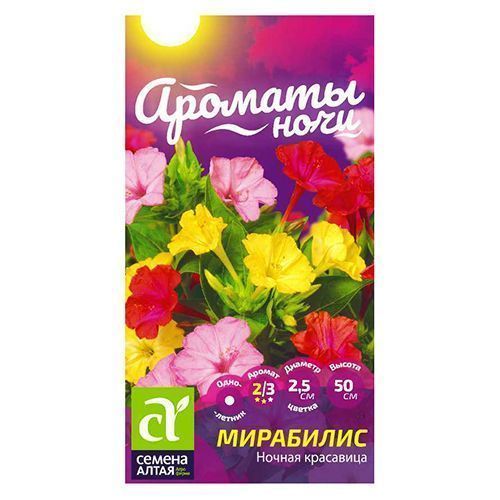 ����  ��������� ������ ��������� ������ �����, ������ �� 28 ���