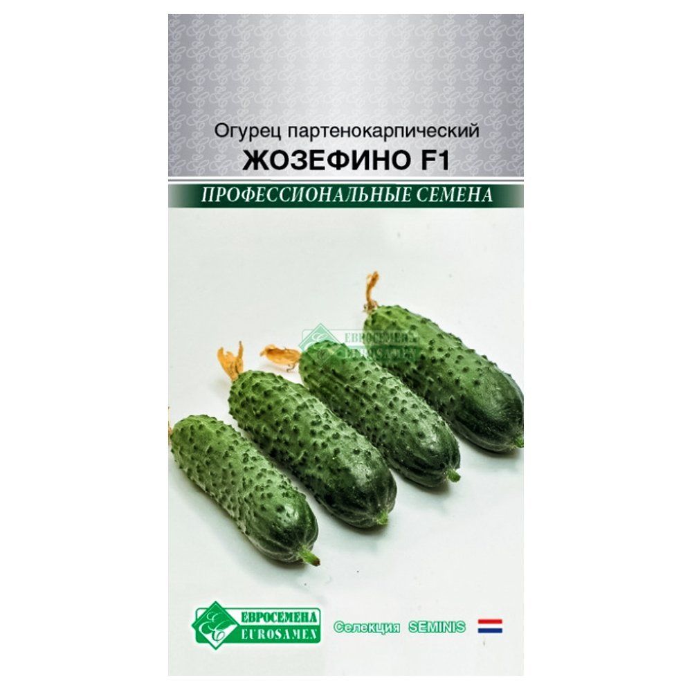 ����  ������ �������� F1 ����������, ������ �� 20 ���